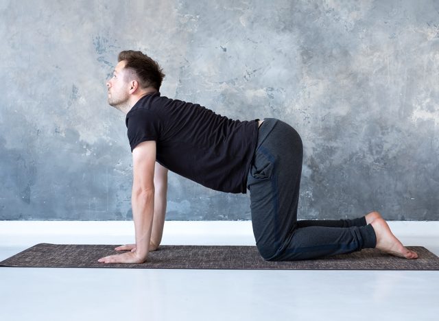 Οι νεαροί άντρες γιόγκι ασκούν τη γιόγκα asana bitilasana ή αγελάδα γάτας που θέτουν στο αστικό στούντιο.